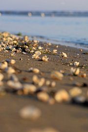 Ostsee bei Sonnenaufgang von Thomas Jäger