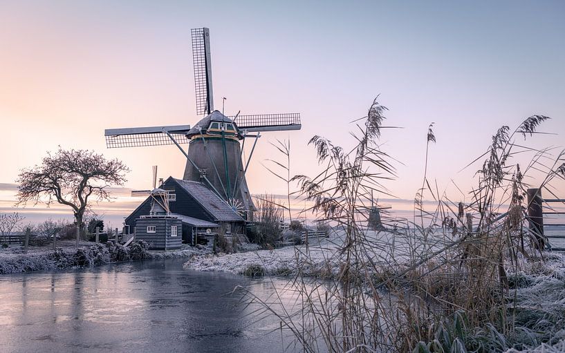 matin froid | Moulin Aarlanderveen | Pays-Bas par Bastiaan Stolk