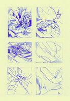 superpositions-s079__2019