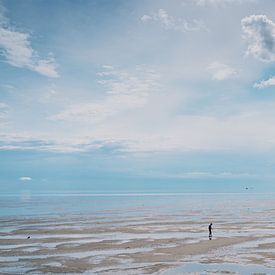 Wadlopers van Tom Rijpert