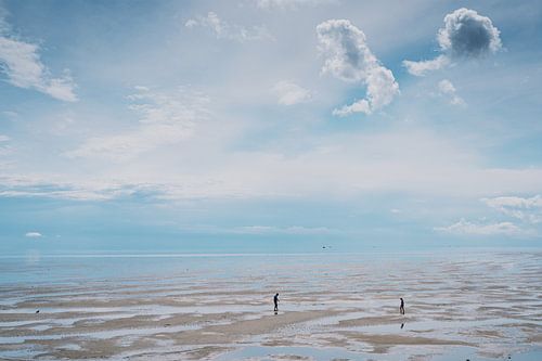 Wadlopers sur Tom Rijpert