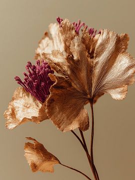 Gold dried flowers on a natural clear background by Esmeé Kiewiet
