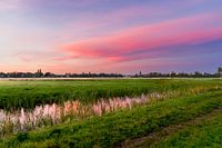 Roze wolken bij zonsondergang boven een weiland.