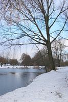 Pays des merveilles d'hiver 5