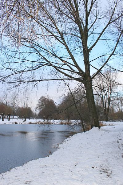 Winter wonderland 5 by Carin Klabbers