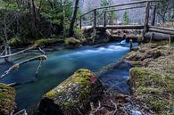 Logarska dolina par Narandžić Dean Aperçu