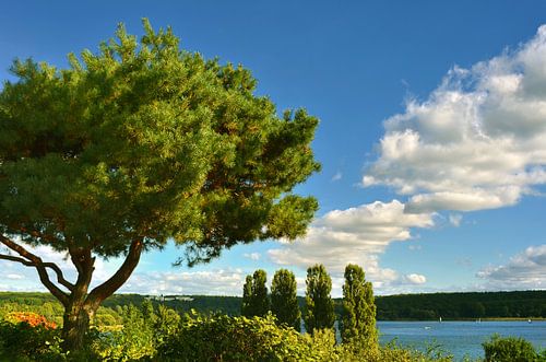 Summer on the Havel in Berlin by Violetta Honkisz