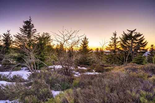 De laatste sporen van de winter