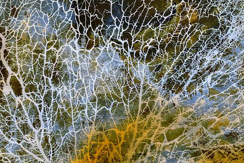 Scandinavisch Bos Beige Ivoor Grijs Goud