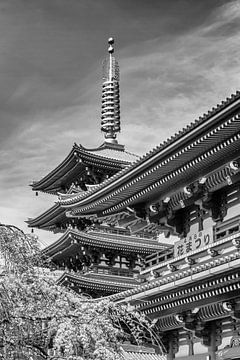 Malerische Pagode und Hozomon Tor des Senso-ji-Tempels in Tokio | monochrom von Melanie Viola