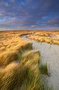 Sandweg durch die Dünen an der Nordsee von Jenco van Zalk Miniaturansicht