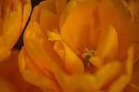 It's all yellow