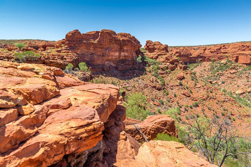 Kings Canyon - Australië van Troy Wegman