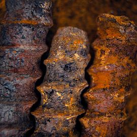 screw by Freddy Hoevers