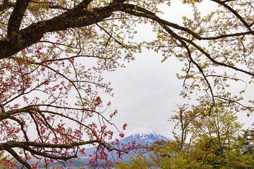 Berg Fuji - Japan (Tokio) von Marcel Kerdijk