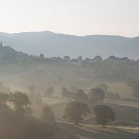 Erwachende Landschaft, Sabina, Italien von Margot van den Berg