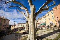 Dorpje in de Provence in Frankrijk van Rosanne Langenberg thumbnail