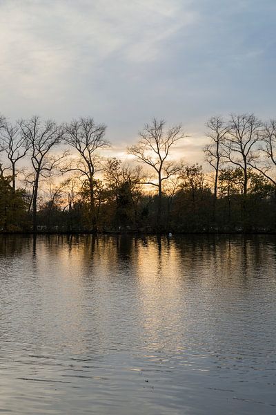 Trees and water by Lina Heirwegh