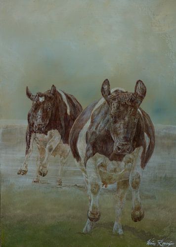 Fries-Hollandse koeien