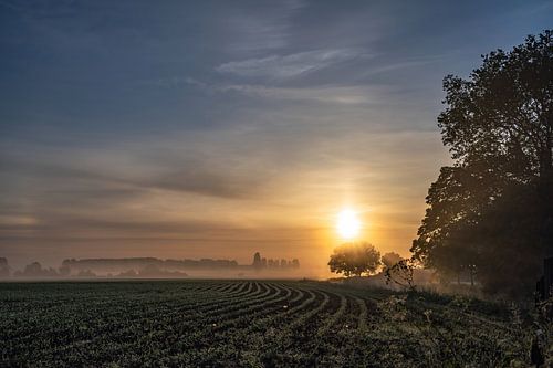 Rural part 28