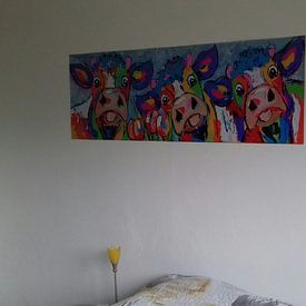 Photo de nos clients: 3 Vaches colorées et heureuses | Panorama par Vrolijk Schilderij, sur poster