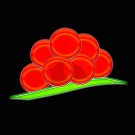 Bollenhut Artwork - 3.7 von Ingo Laue