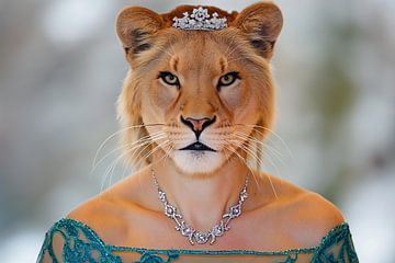 oranje leeuwin