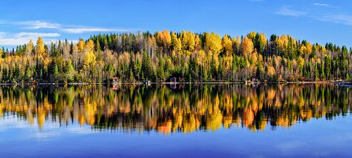 Herfst op de Vildmarksvägen Zweden