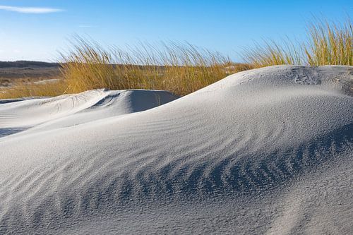 Strand op het eiland Schiermonnikoog in de Waddenzee