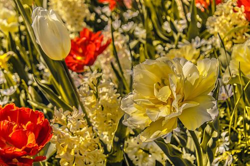 Fleurig bloemenveld