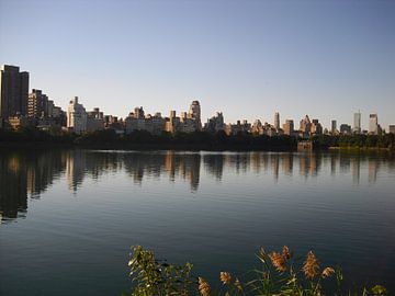 Uitzicht over het water van Central Park