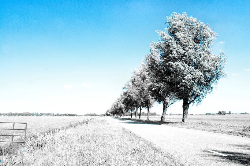 Oostwaarts by ZEVNOV .