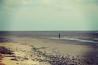 Beach Ameland