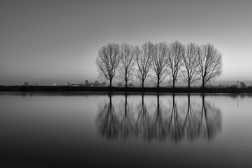 7 Bäumen IJssel - Dieren von Mart Stevens