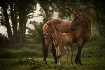 A proud mom by Chris van Riel