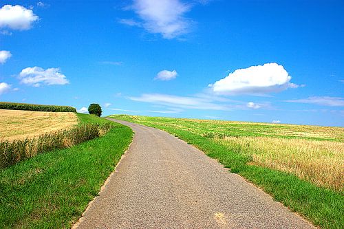 invite you to take a walk and think.