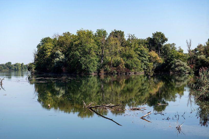 Naturschutzgebiet Taubergießen by Richard Wareham