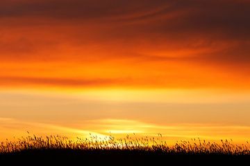 Myvatn sunset - Iceland van Arnold van Wijk