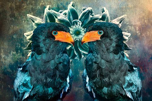 Miroir de l'âme - Bateleur mystique sur Saranda Foto Art