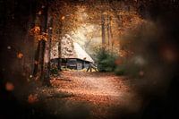Through the Leaves
