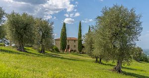 Podere Toscaberna in Seggiano Tuscany