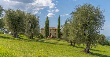 Podere Toscaberna in Seggiano Tuscany by Teun Ruijters