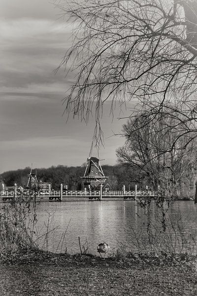Mill de Ster Kralingse Plas by Consala van  der Griend