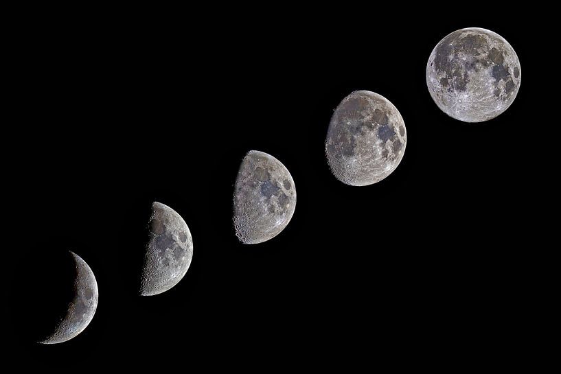 increasing moon by Monarch C.