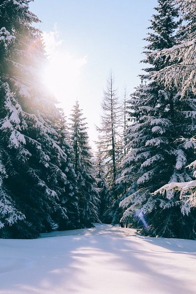 Winter Vibes by Hello Pompoyo