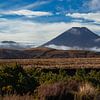 Parc national de Tongariro, volcan Ngauruhoe, Nouvelle-Zélande sur Nynke Altenburg