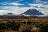 Tongariro national park, Ngauruhoe volcano, New Zealand by Nynke Altenburg thumbnail