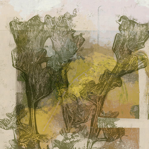 Earthy Tones Botanical Art with Organic Textures by Dina Dankers