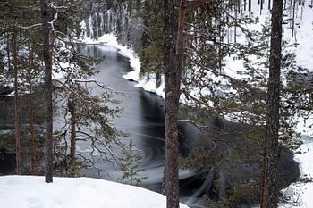 Vattumutka