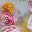 Bloemen in ijs, lente in geel en roze van Carla Van Iersel thumbnail